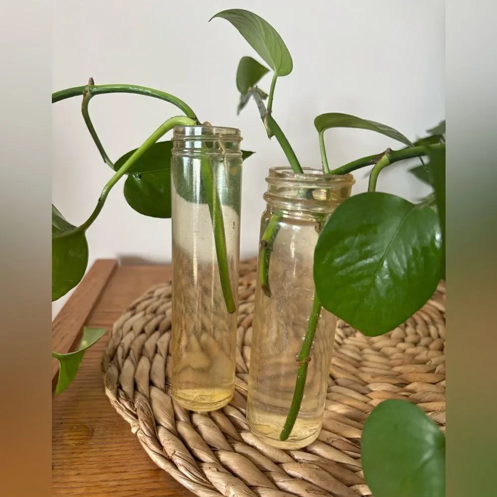 🎀Vintage🎀 1940s Pair of Bottles Found In The Sea